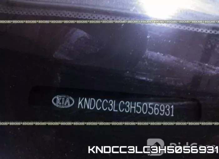 KNDCC3LC3H5056931 фото 10