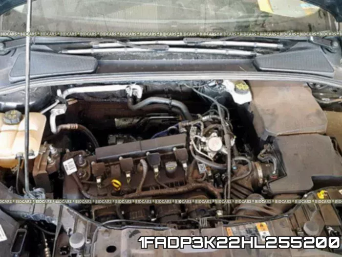 1FADP3K22HL255200 фото 8
