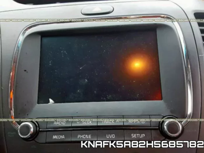 KNAFK5A82H5685782 фото 10
