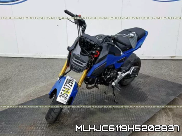 MLHJC6119H5202837 фото 3