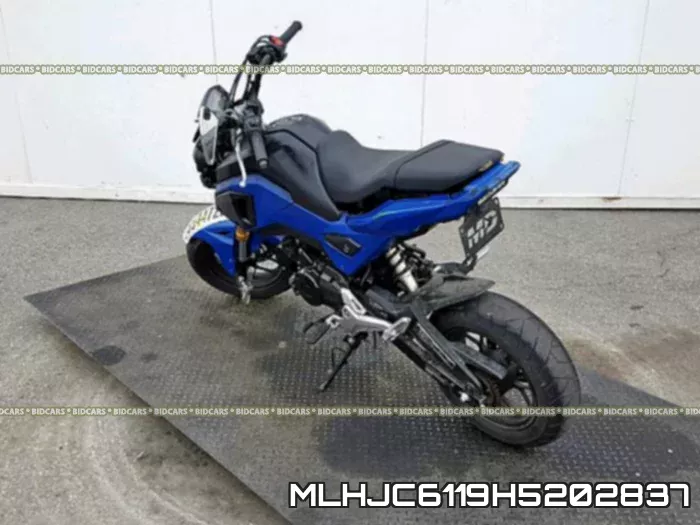MLHJC6119H5202837 фото 4