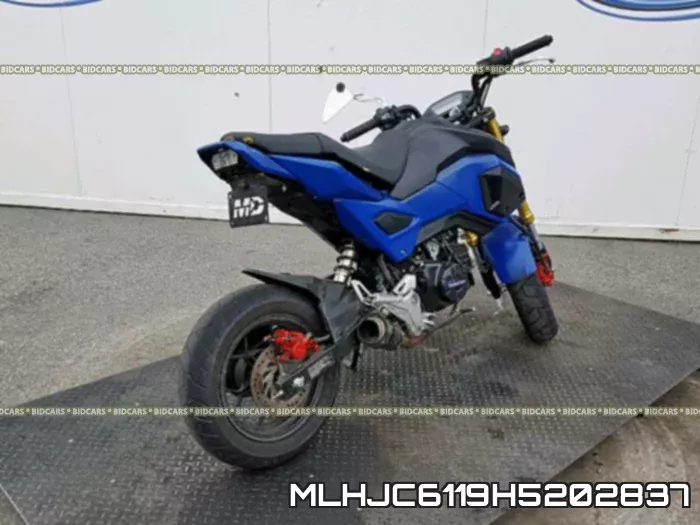 MLHJC6119H5202837 фото 5