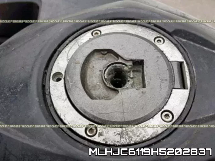 MLHJC6119H5202837 фото 10