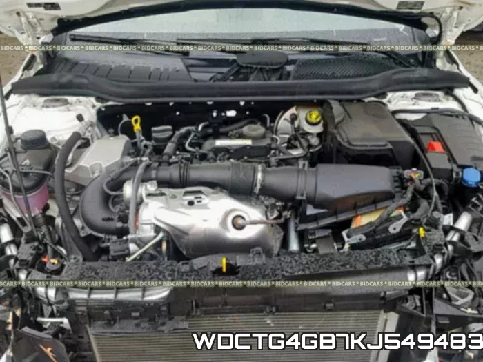 WDCTG4GB7KJ549483 фото 8