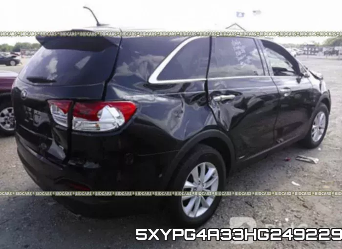 5XYPG4A33HG249229 фото 5