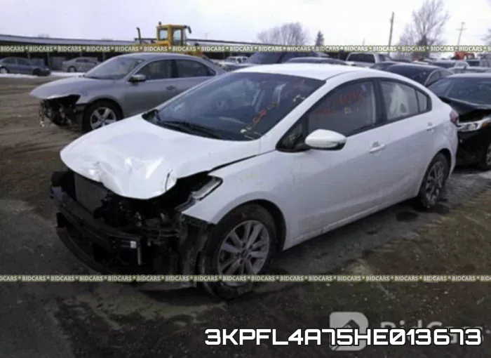 3KPFL4A75HE013673 фото 3