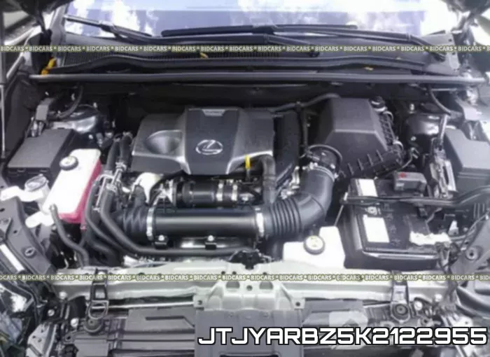JTJYARBZ5K2122955 фото 2