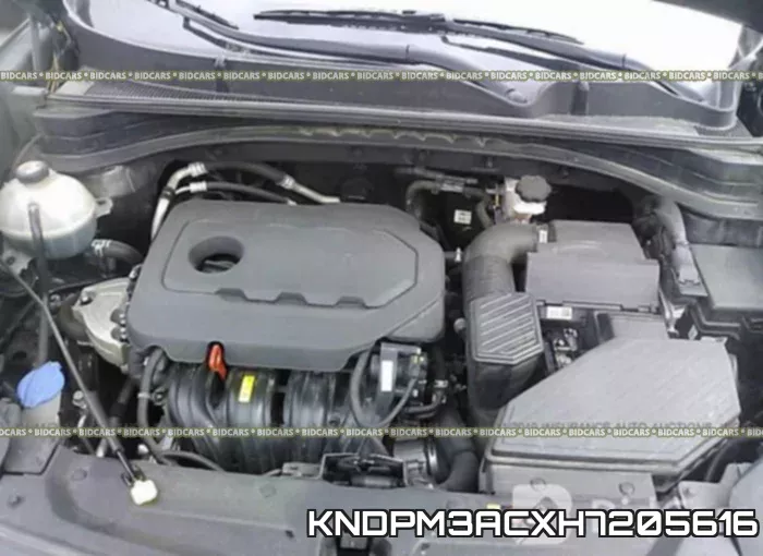 KNDPM3ACXH7205616 фото 2