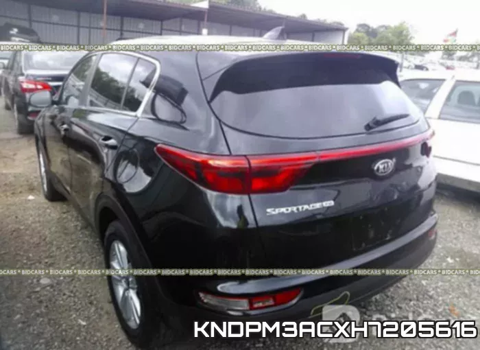 KNDPM3ACXH7205616 фото 4