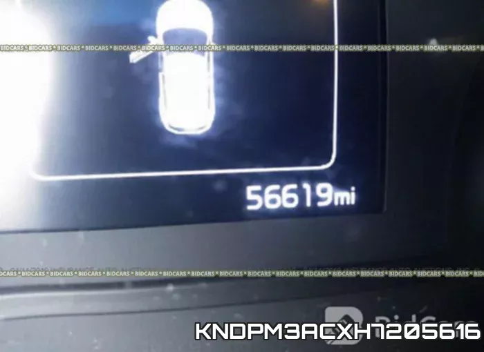 KNDPM3ACXH7205616 фото 8