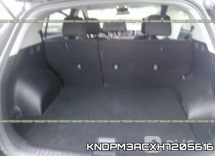 KNDPM3ACXH7205616 фото 9