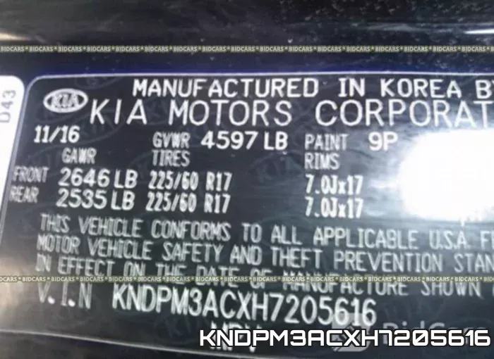 KNDPM3ACXH7205616 фото 10