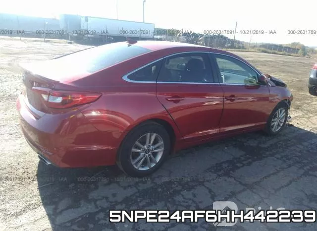 5NPE24AF6HH442239 фото 5