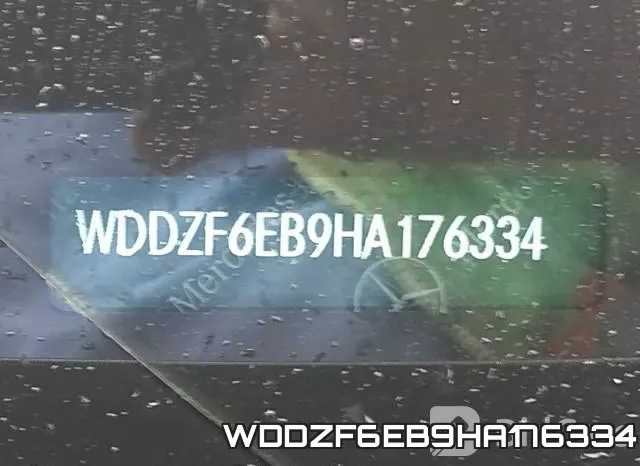 WDDZF6EB9HA176334 фото 10