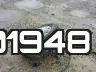 KM8J3CA42HU301948 фото 9