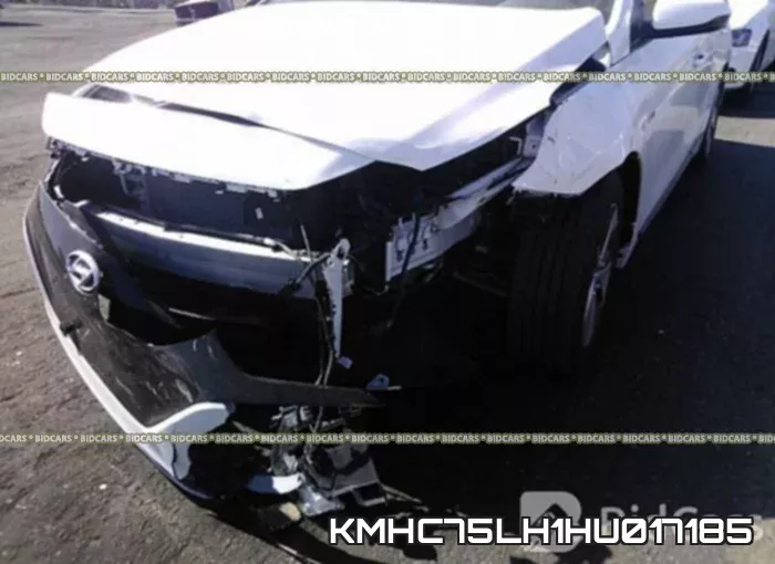 KMHC75LH1HU017185 фото 7