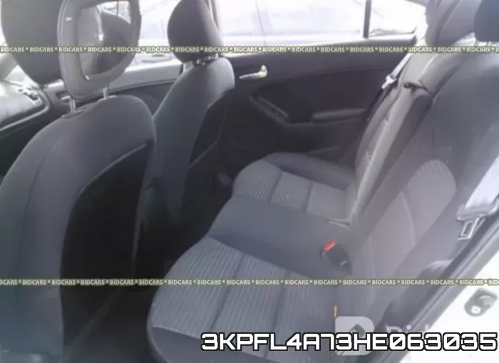 3KPFL4A73HE063035 фото 9