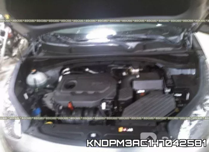 KNDPM3AC1H7042581 фото 2
