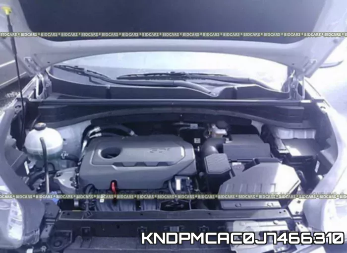 KNDPMCAC0J7466310 фото 2