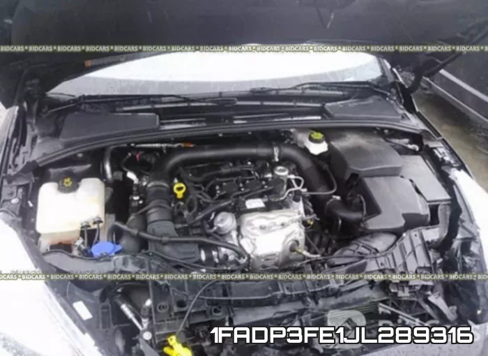 1FADP3FE1JL289316 фото 2