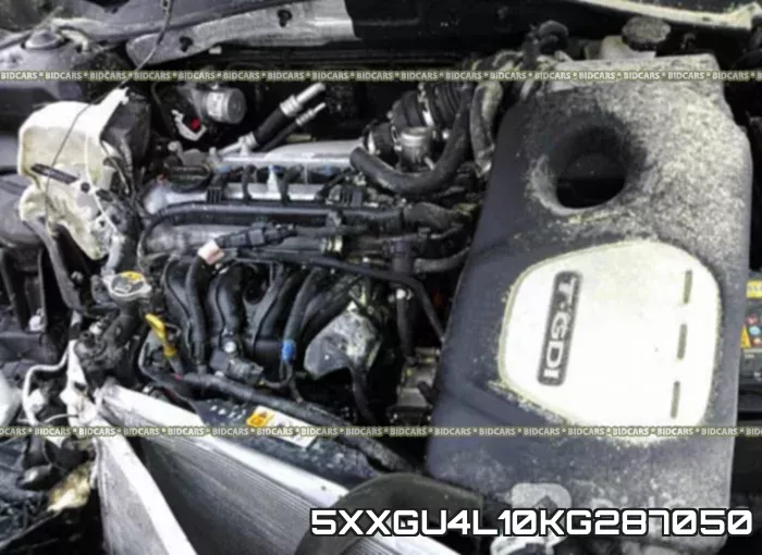 5XXGU4L10KG287050 фото 2