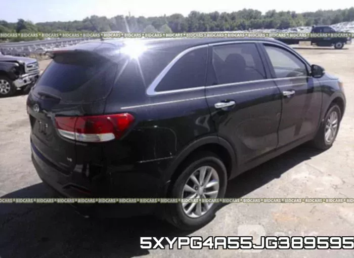 5XYPG4A55JG389595 фото 5