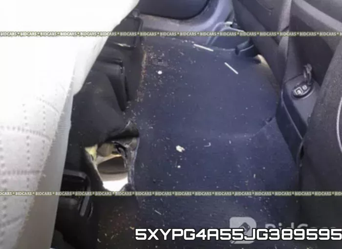 5XYPG4A55JG389595 фото 7