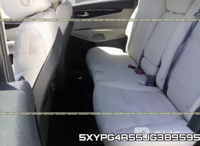 5XYPG4A55JG389595 фото 9
