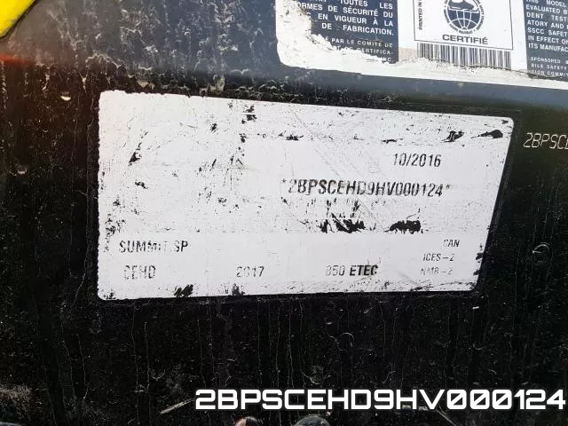 2BPSCEHD9HV000124 фото 2