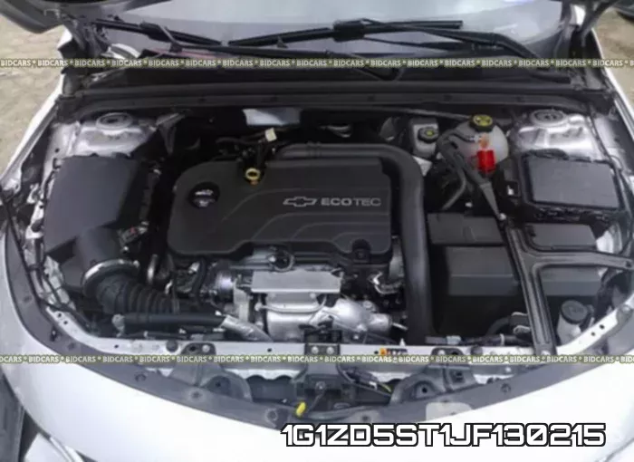 1G1ZD5ST1JF130215 фото 2