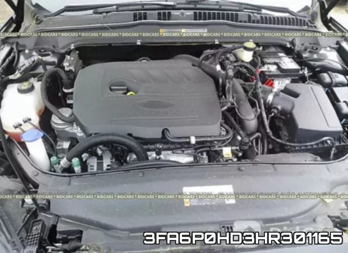 3FA6P0HD3HR301165 фото 2