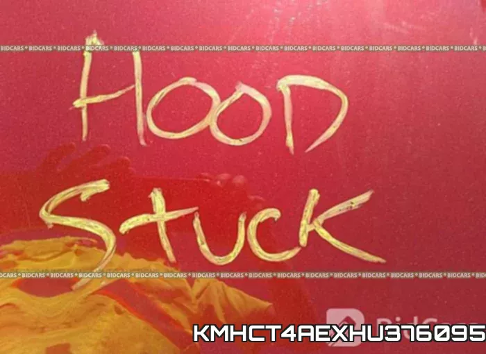 KMHCT4AEXHU376095 фото 2