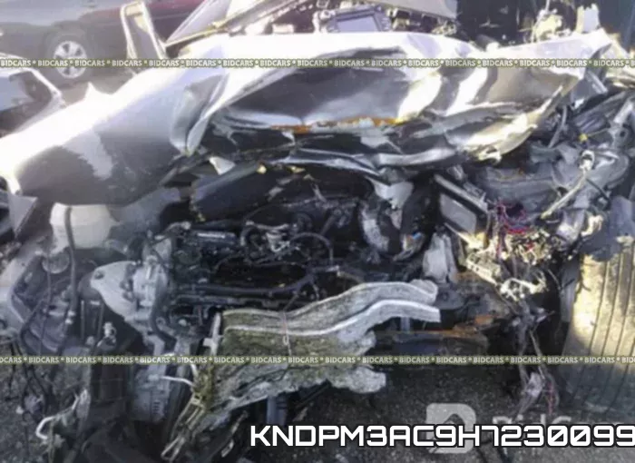 KNDPM3AC9H7230099 фото 2