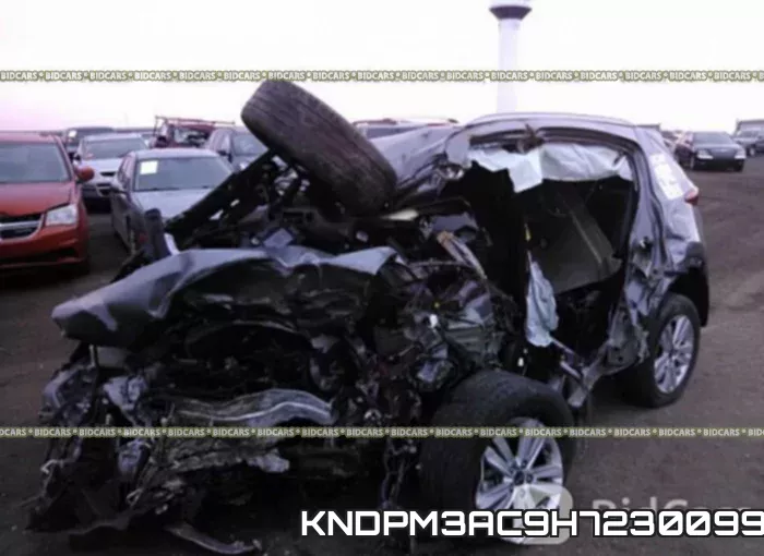 KNDPM3AC9H7230099 фото 7