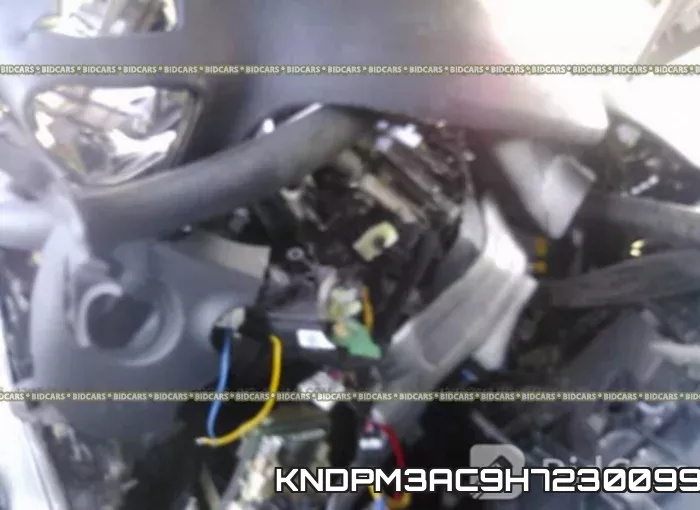 KNDPM3AC9H7230099 фото 8