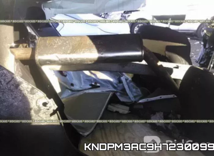 KNDPM3AC9H7230099 фото 9
