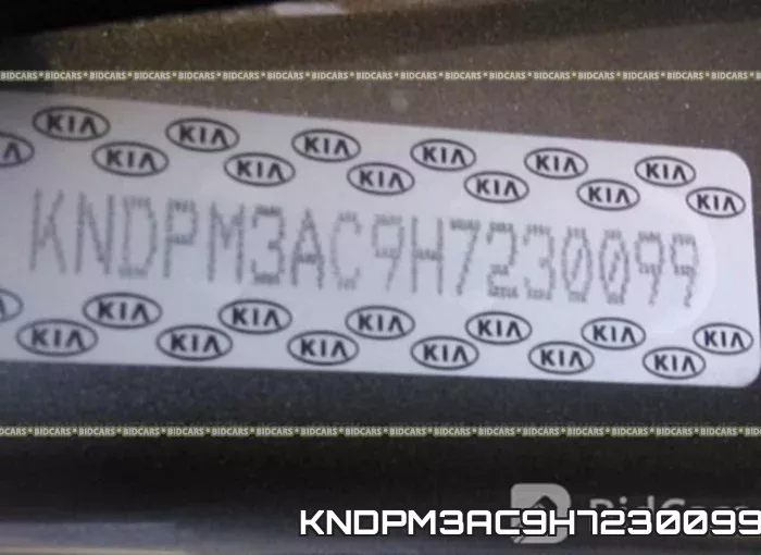 KNDPM3AC9H7230099 фото 10