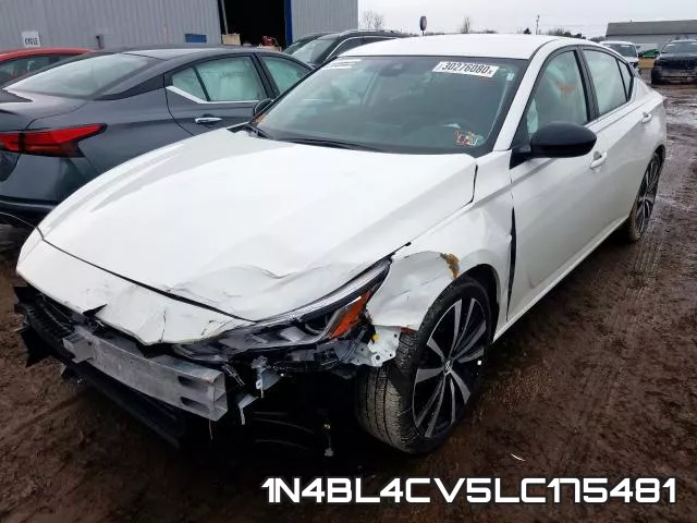 1N4BL4CV5LC175481 фото 2