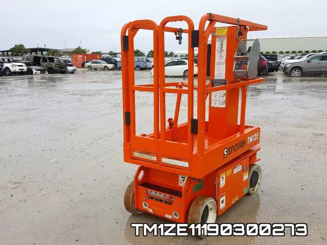 TM1ZE11190300273 фото 3