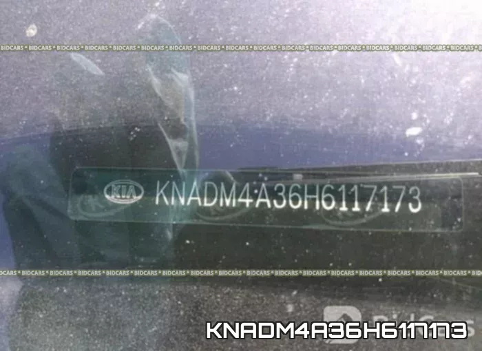 KNADM4A36H6117173 фото 10