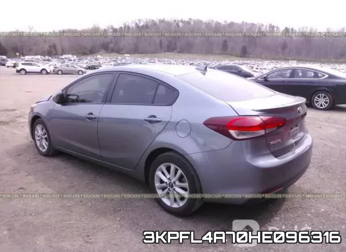 3KPFL4A70HE096316 фото 4