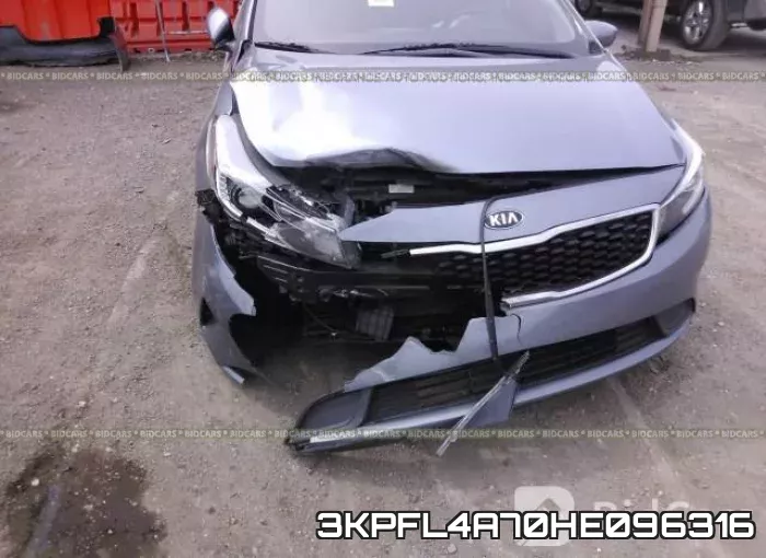 3KPFL4A70HE096316 фото 7