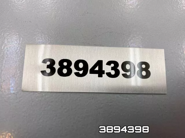 3894398 фото 2