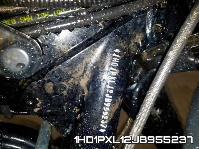1HD1PXL12JB955237 фото 2