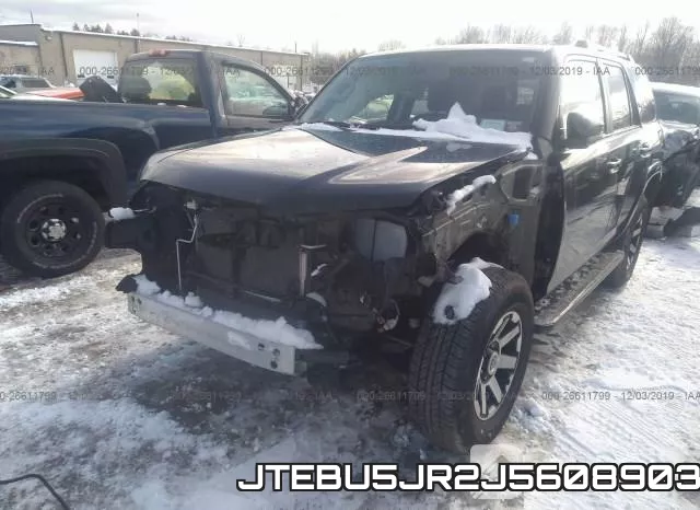 JTEBU5JR2J5608903 фото 7