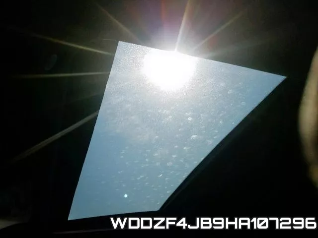 WDDZF4JB9HA107296 фото 10