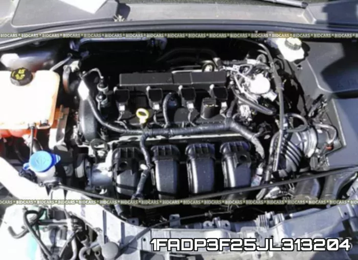 1FADP3F25JL313204 фото 2