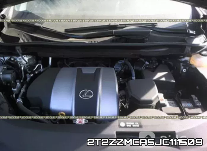 2T2ZZMCA5JC111509 фото 2