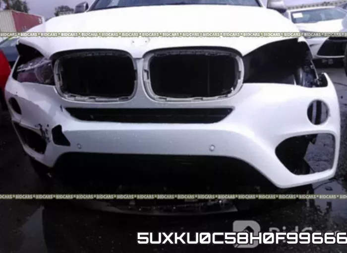 5UXKU0C58H0F99666 фото 7