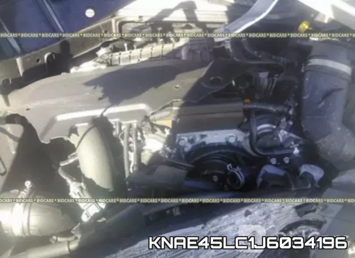 KNAE45LC1J6034196 фото 2
